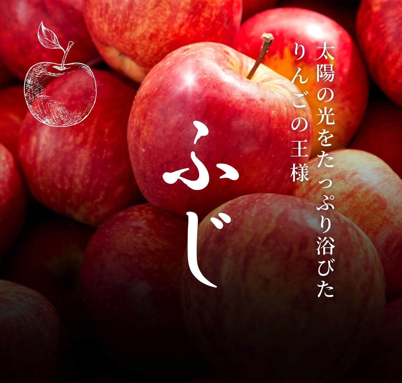 Amazon.co.jp: 【ふじりんご】4個 サンふじ 糖度14℃以上 青森県産